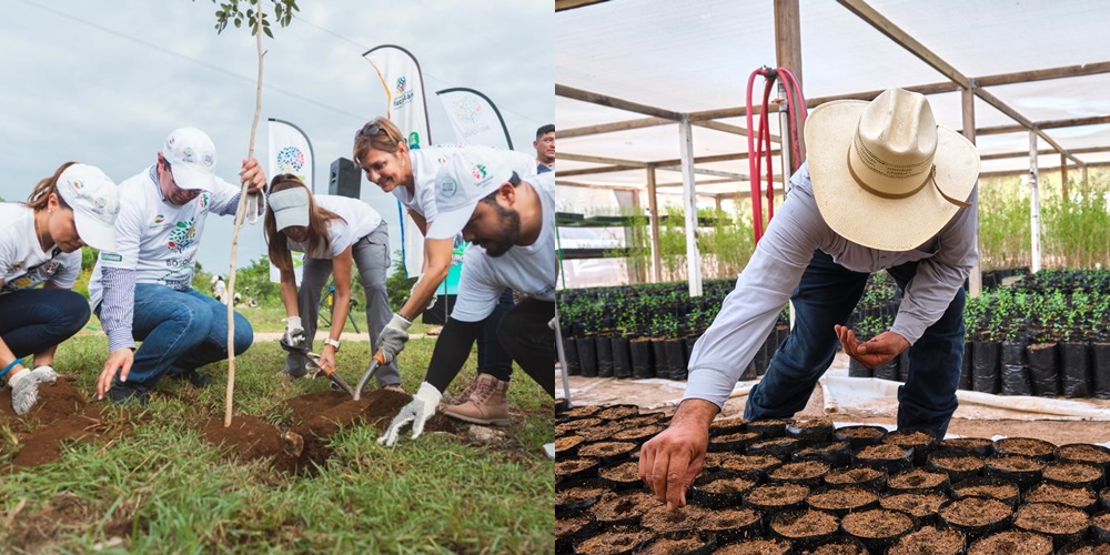 Heineken México usa menos agua y se compromete con la conservación del