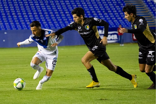 venados1