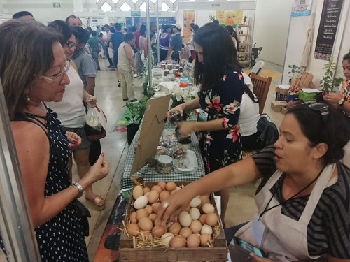 Expocampo4