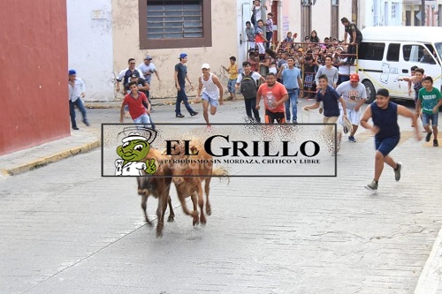pamplonada00017