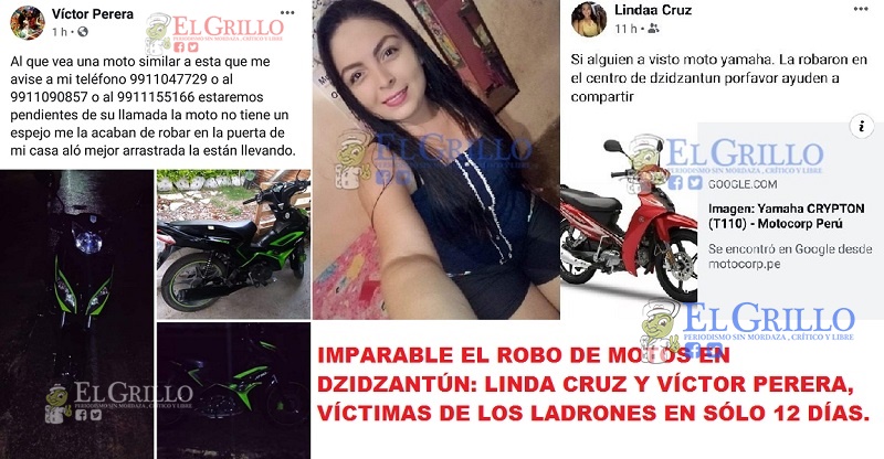 robanMoto