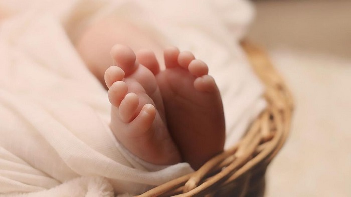 newborn-1399155_1280.jpg_219914347