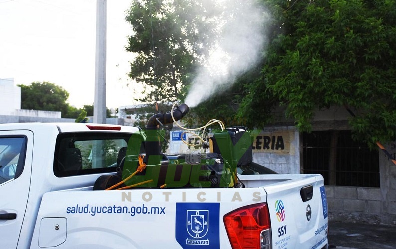 fumiga