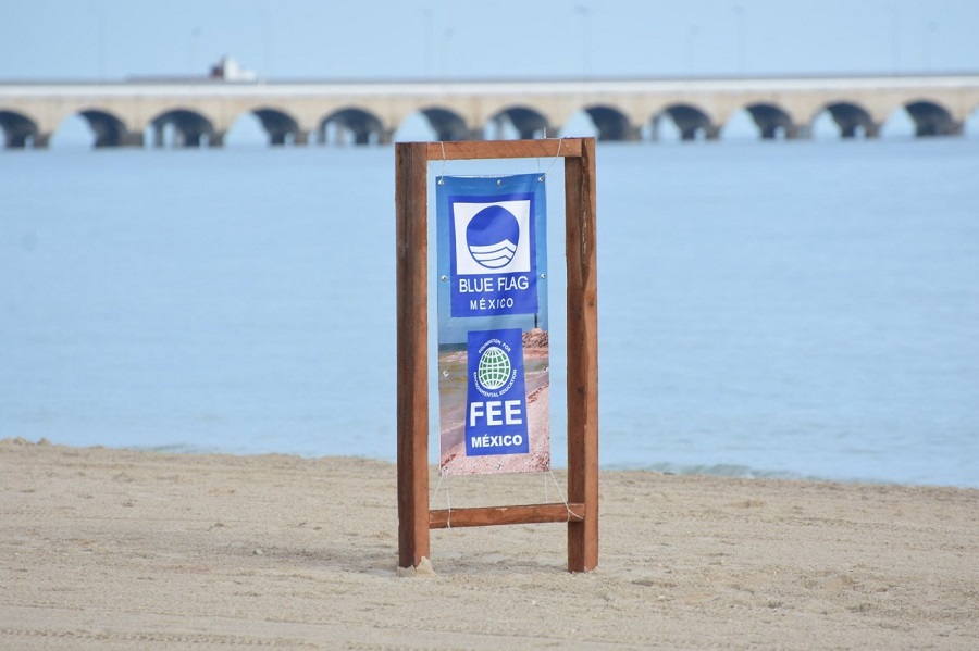 Blue Flag (1)