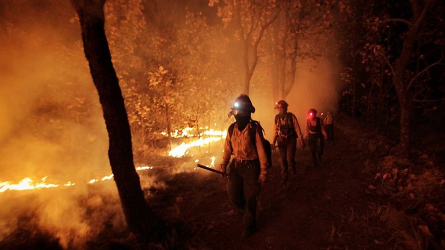 combate-a-incendio-en-bosque-la-primavera