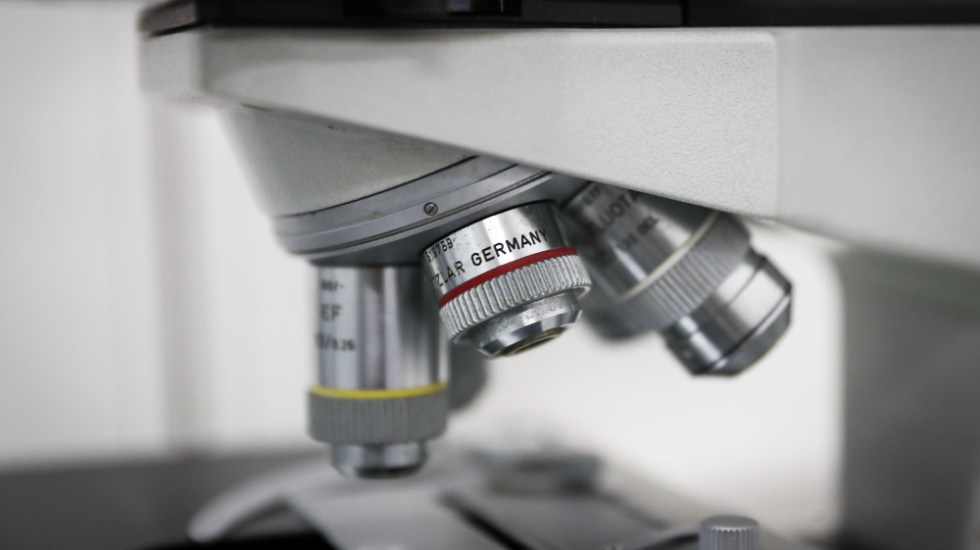 estudio-investigacion-ciencia