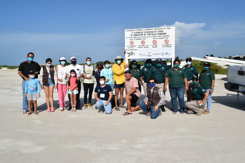 Zona de anidación de tortugas marinas en el playón de Chuburná puerto (2)