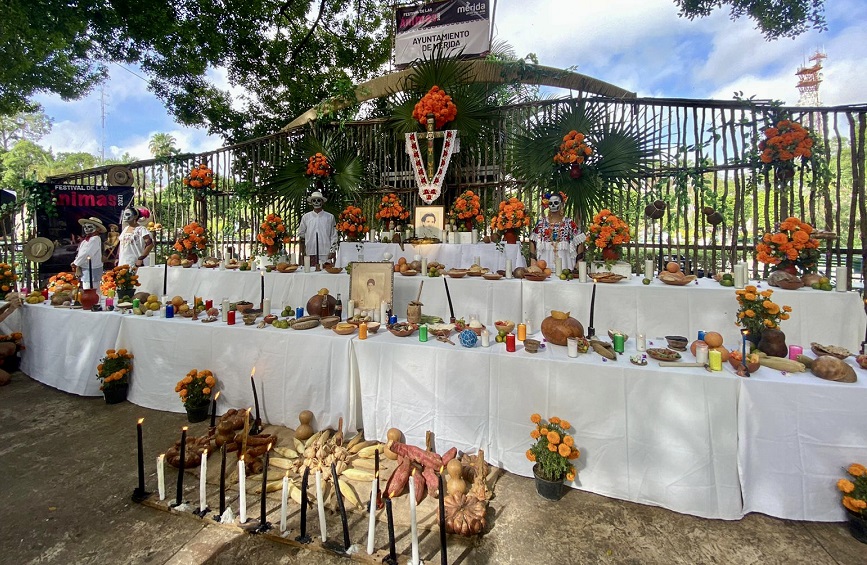 c412afef-bfc4-4bcf-9d49-3a8c89ed7f06