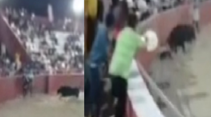 3b6cb0a9-3193-40f9-868f-072bf601b619