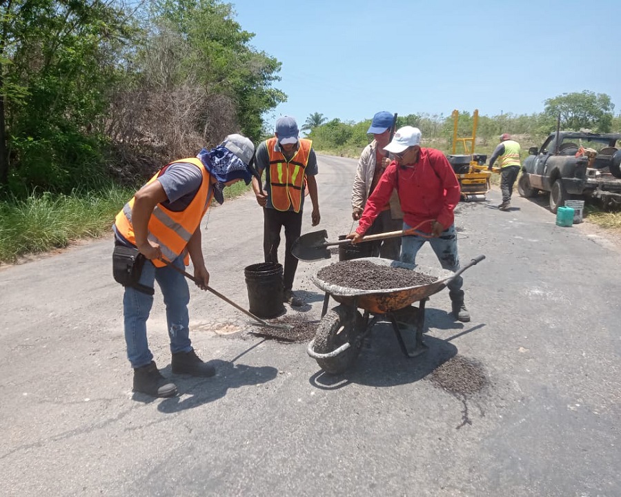 Bacheo01