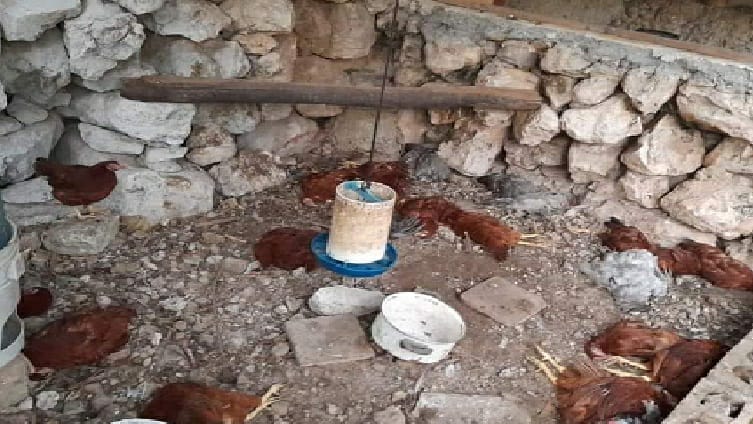 WhatsApp Image 2022-05-03 at 12.33.48 PM