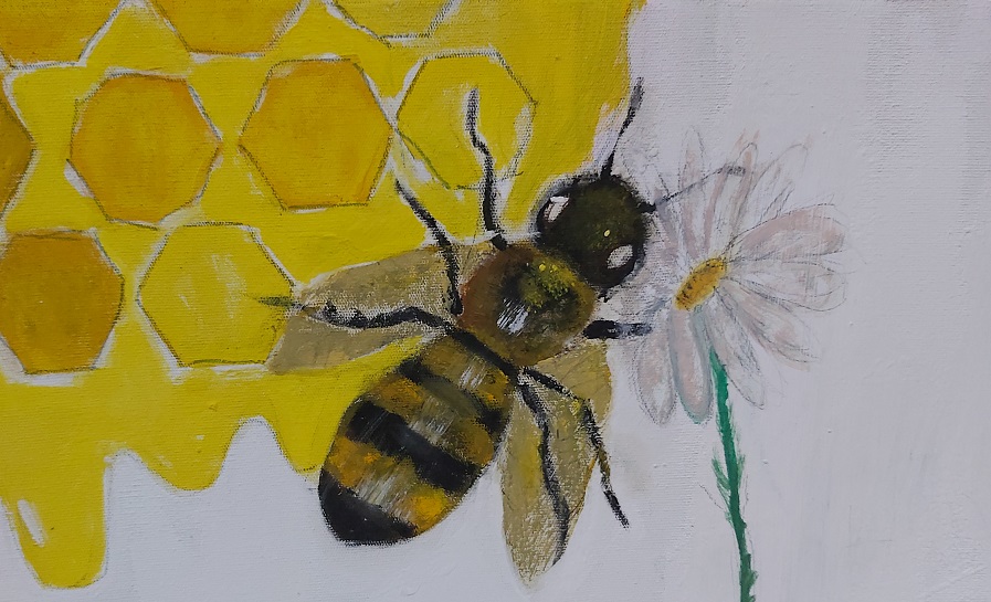 Con dibujos enseñan a los niños a cuidar las abejas nativas de Yucatán – El  Grillo