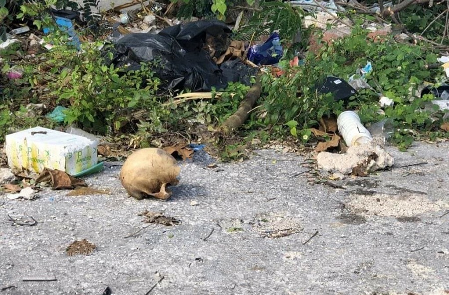 Macabro Hallazgo: Un Grupo De Niños Halló Un Cráneo Humano En El ...