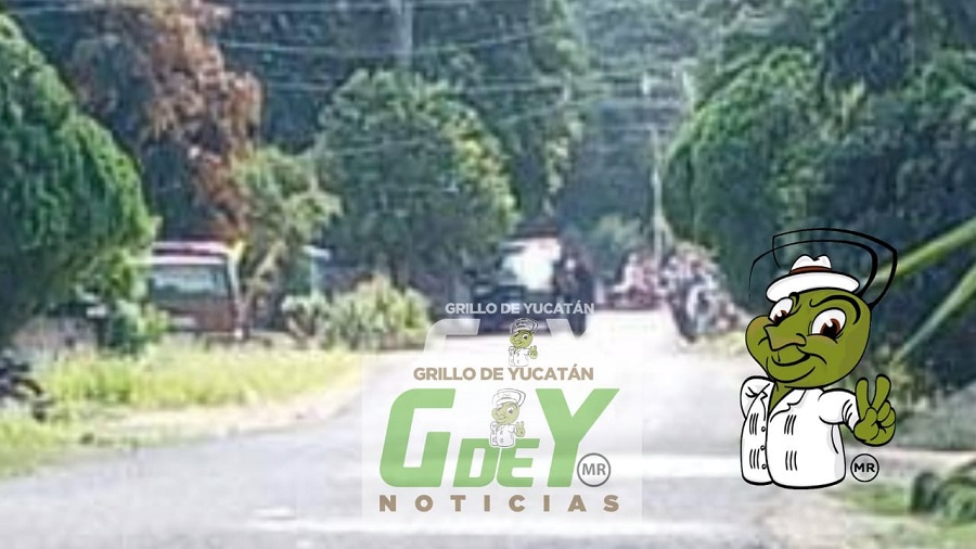 89e426da-9b91-4c66-833e-7ff16148ad56