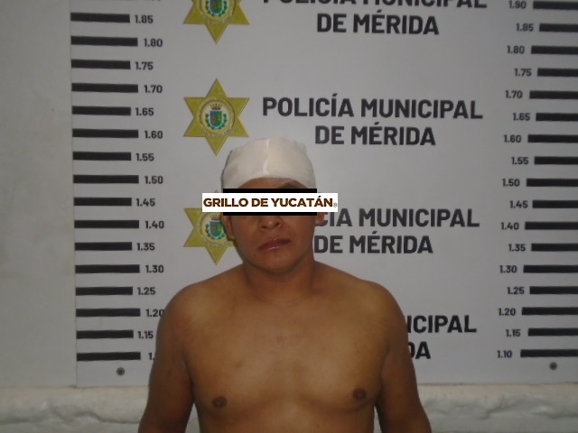 pmm grillo