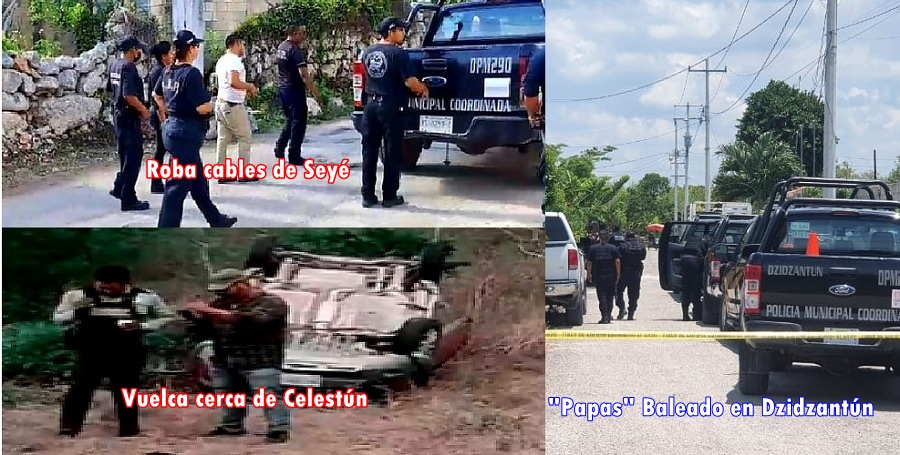 PoliXec