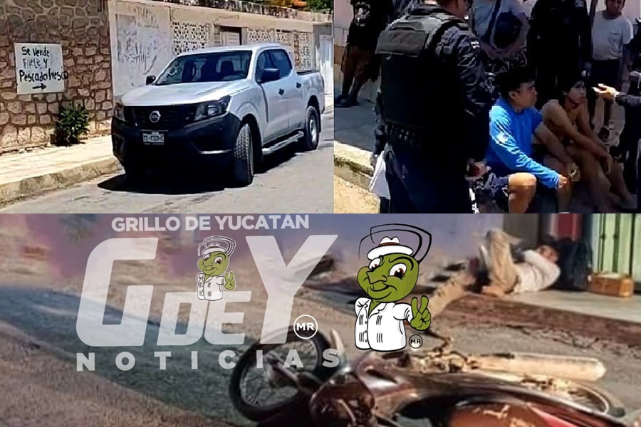 POLIS XEC