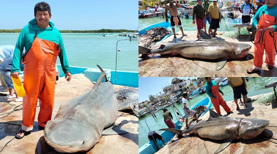 WhatsApp Image 2023-07-28 at 1.07.32 PM