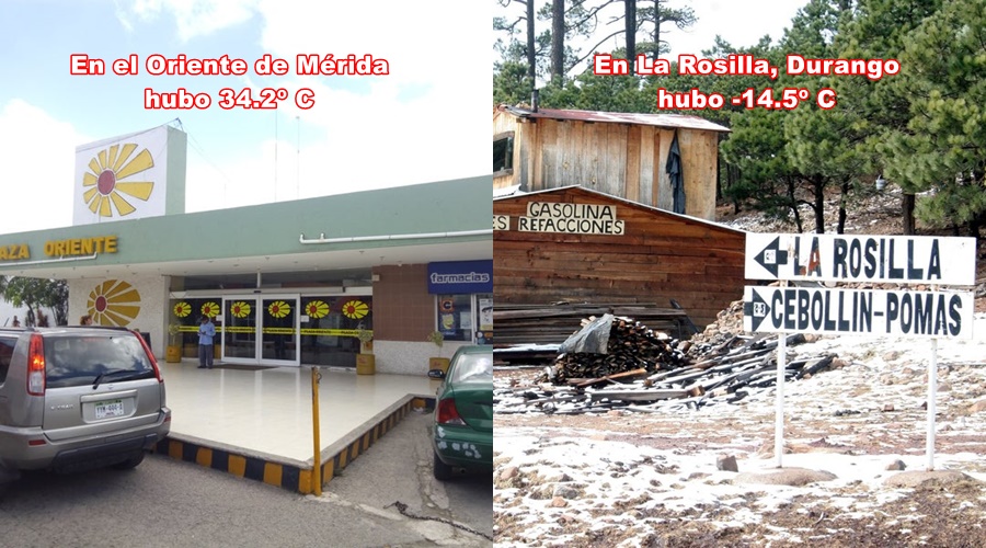 ORI ROSILLA VFRIO