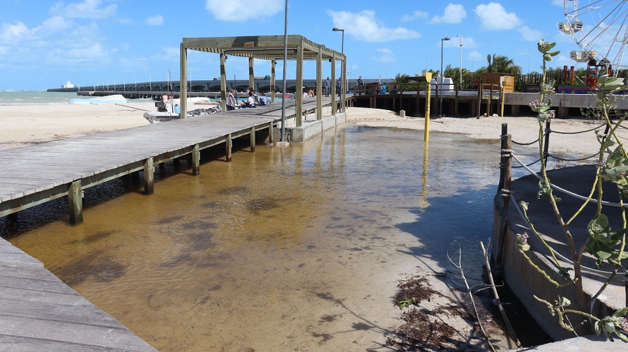Afectaciones en el malecon internacional (1)