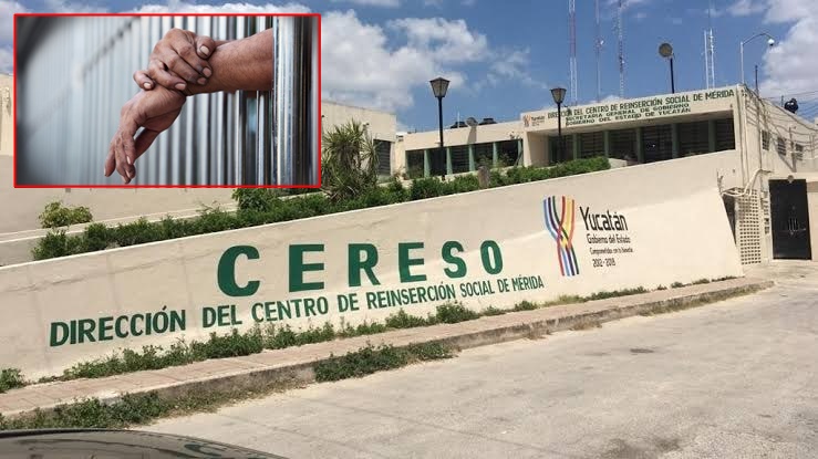 CERESSO DE MERDIA