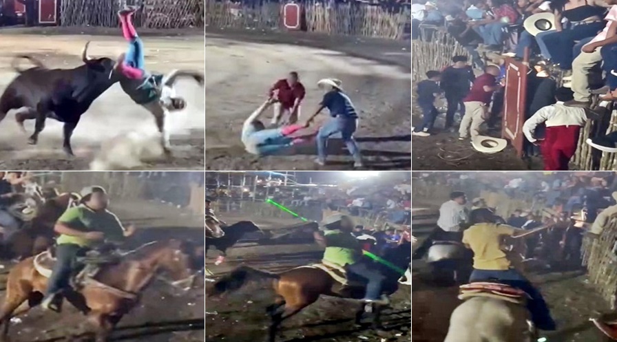 MONTA PERRO AGREDEN MUJERS