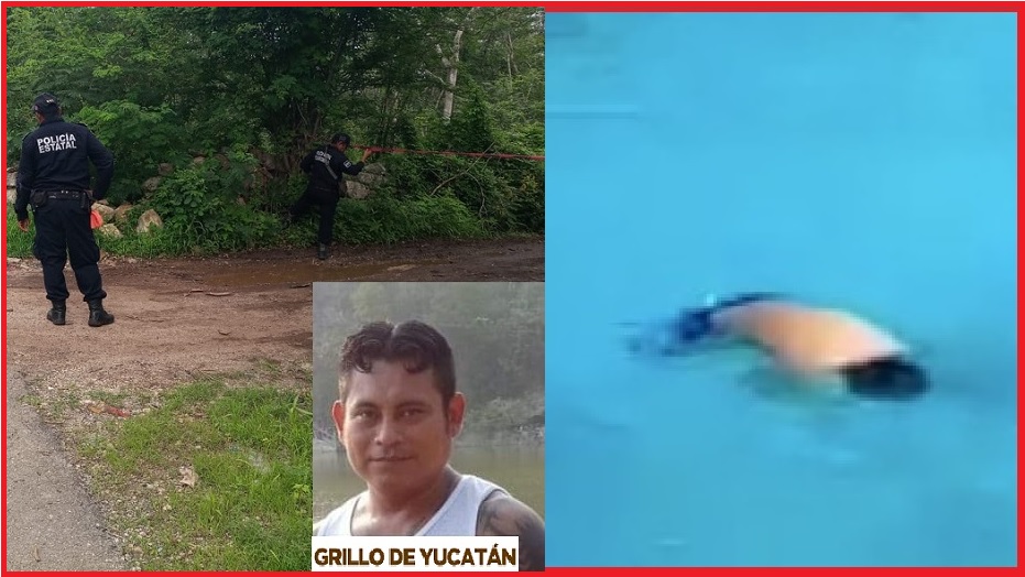 1Asesin