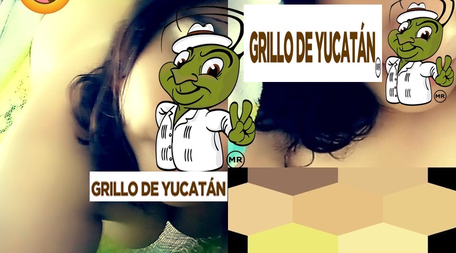CHACALA-DE-HOCABA-TAPADA
