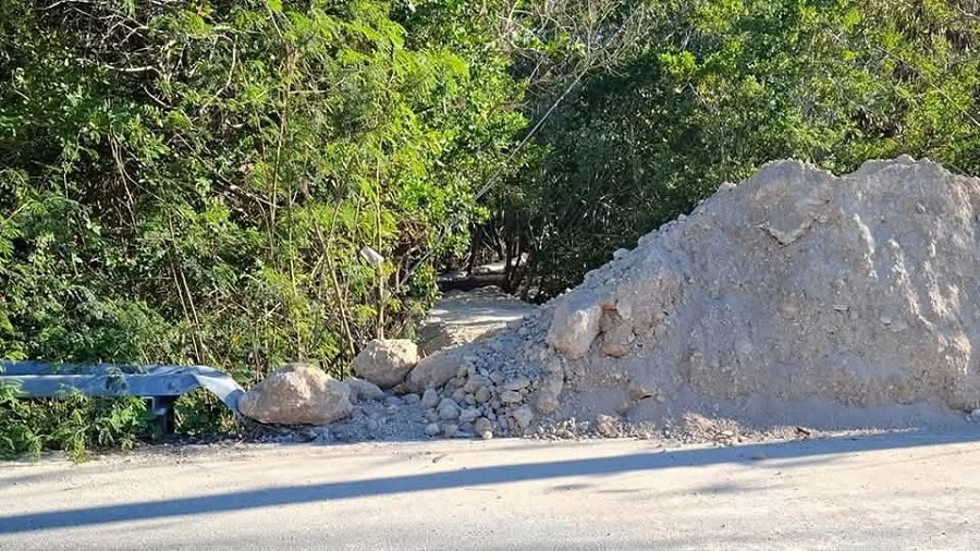 manglar1