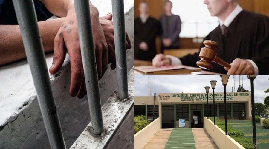 PoliPenal Golpea a un perro y al dueño