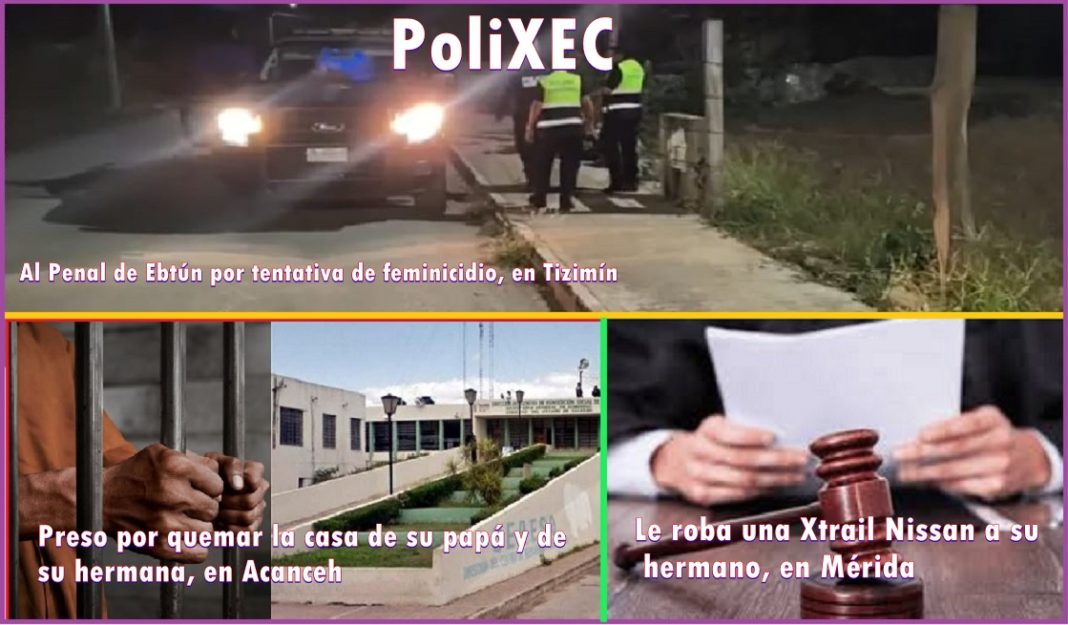 1PoliXec