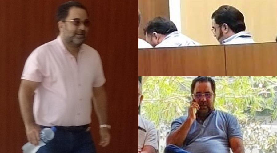 ZORRRO AUDIENCIA