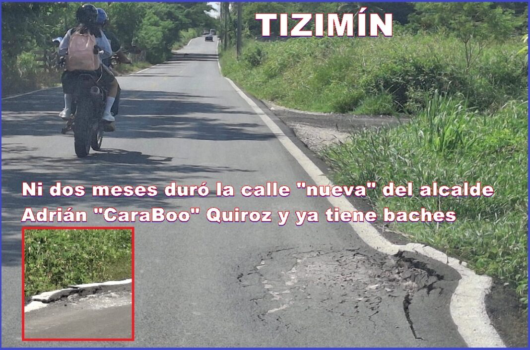 1BacheTiz