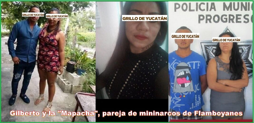 1Lamapacha