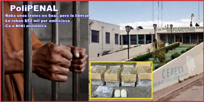 1PoliPenal