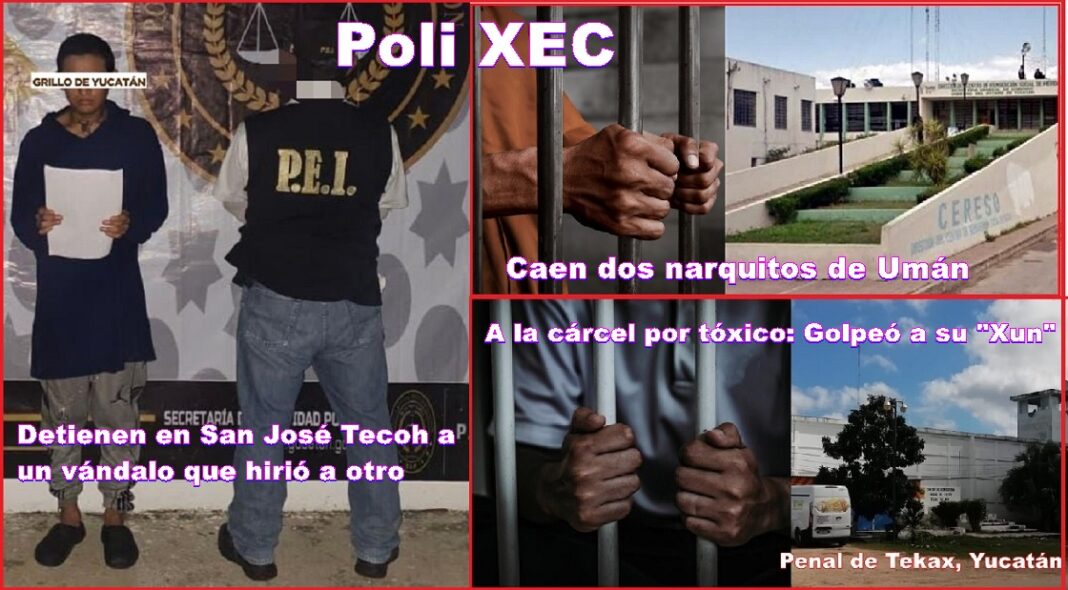 1PoliXec