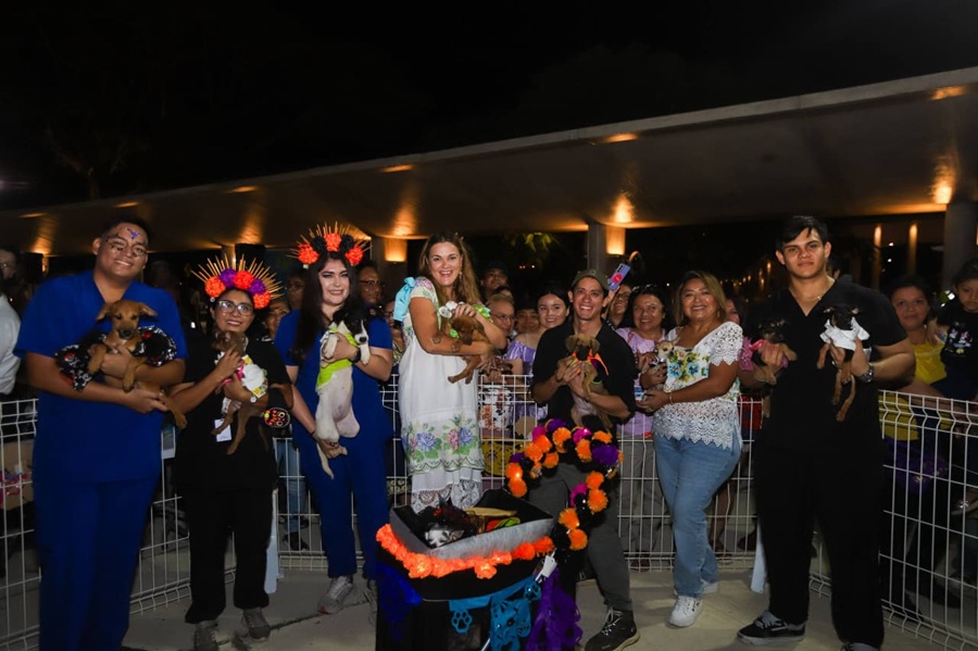 WhatsApp Image 2025-10-28 at 8.03.44 PM