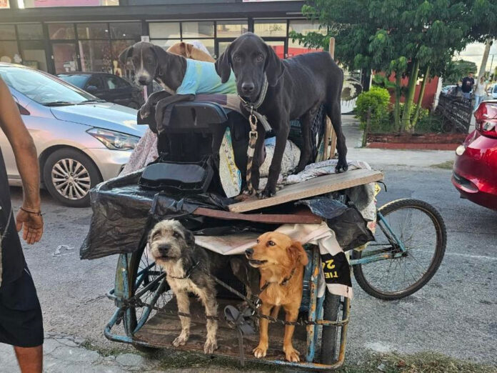 WhatsApp Image 2025-10-30 at 7.47.53 PM