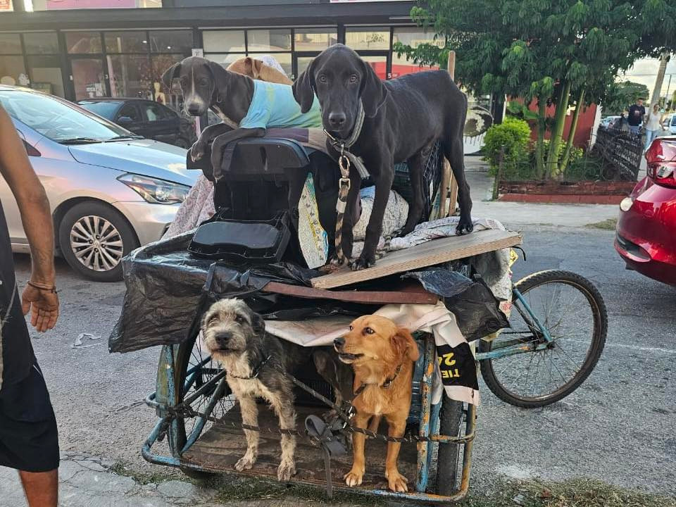 WhatsApp Image 2025-10-30 at 7.47.53 PM