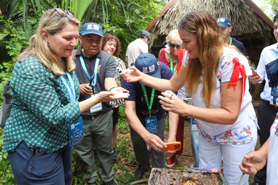 WhatsApp Image 2025-10-31 at 5.35.05 PM