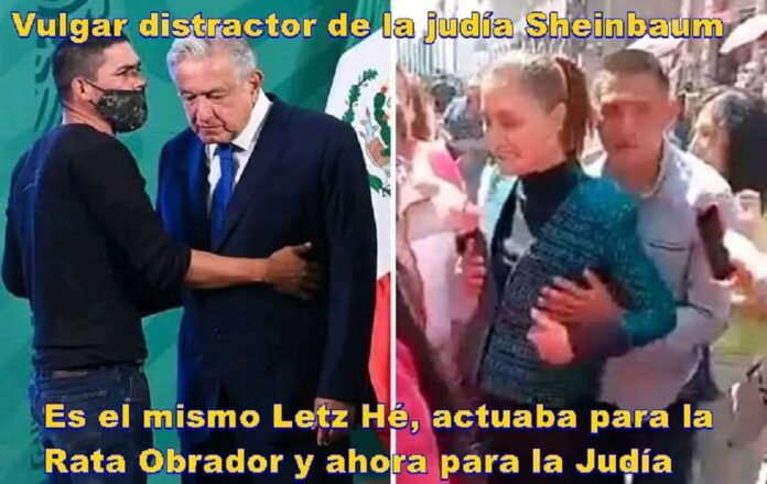 WhatsApp Image 2025-11-05 at 08.34.15