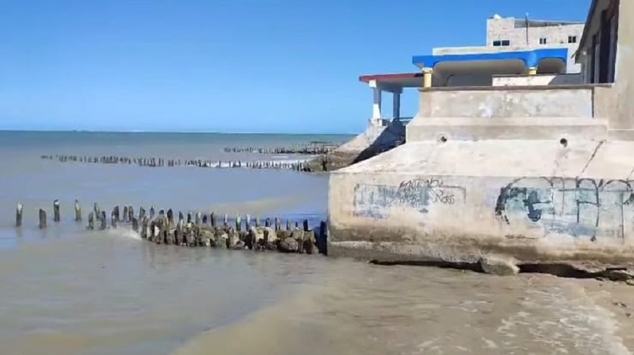 WhatsApp Image 2025-11-05 at 09.55.27