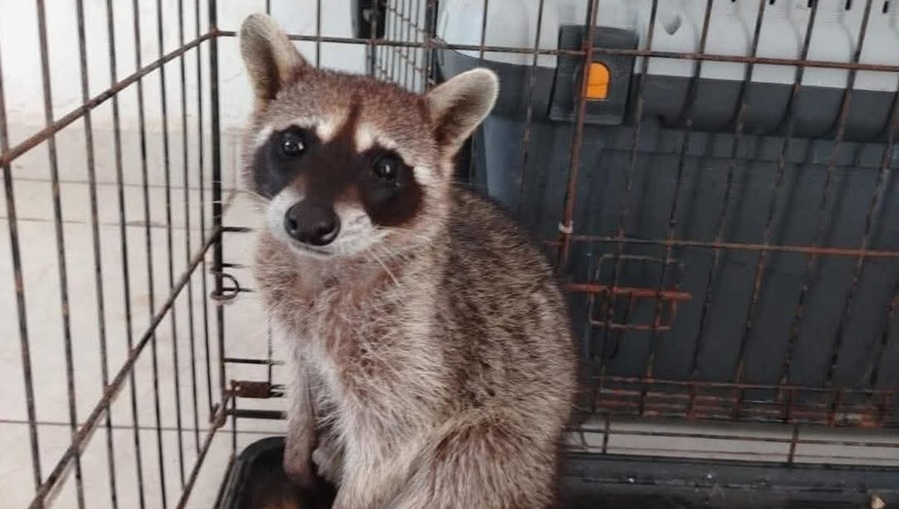 WhatsApp Image 2025-11-07 at 2.11.33 PM