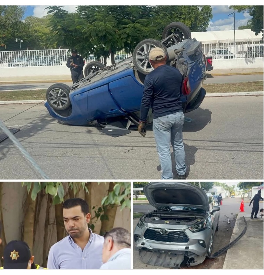 WhatsApp Image 2025-11-08 at 3.18.43 PM