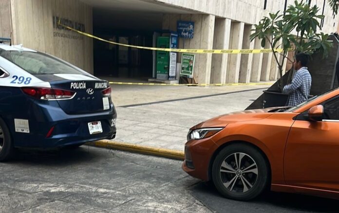 WhatsApp Image 2025-11-27 at 10.22.22