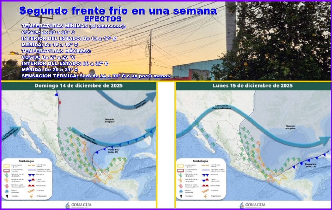 1Norte