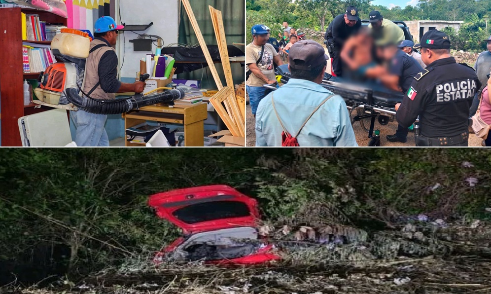 PoliXIX Viuda negra en una escuela de Peto