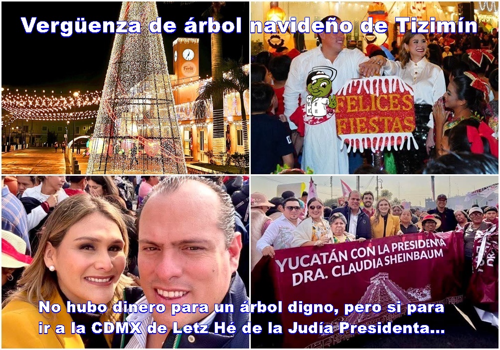 WhatsApp Image 2025-12-08 at 08.47.29