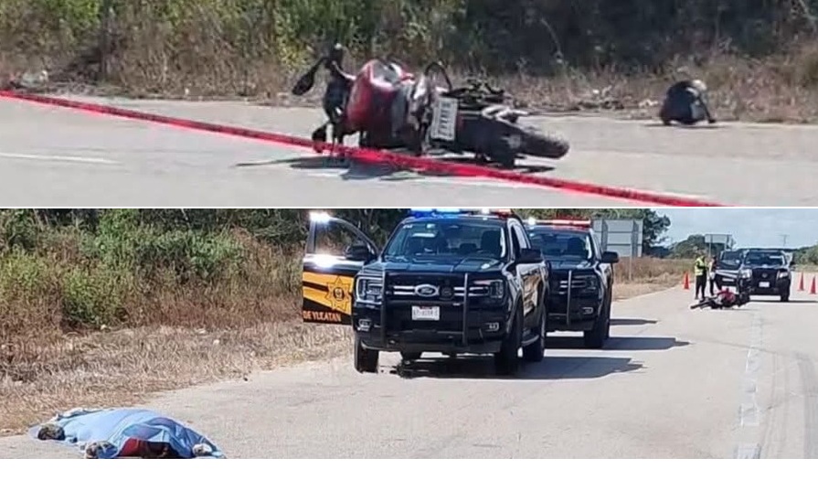 WhatsApp Image 2025-12-14 at 1.52.47 PM