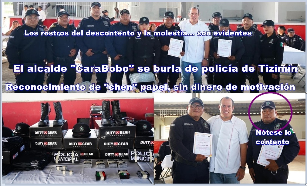 WhatsApp Image 2025-12-19 at 11.46.32